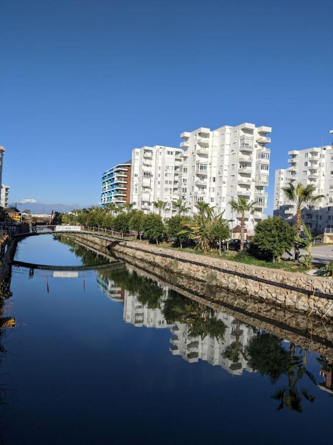 Daire Hayat Sitesi