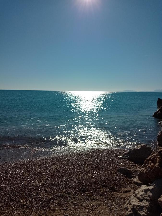 Daire Hayat Sitesi Antalya